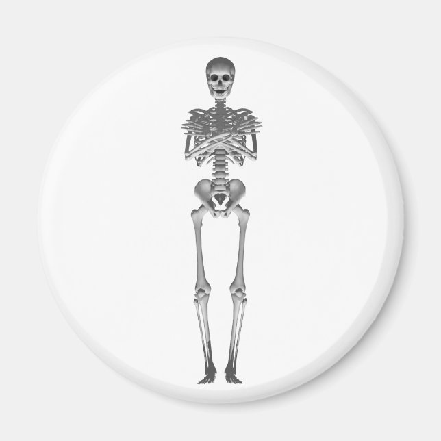 Íman Modelo Skeleton 3d: (Frente)