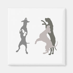 Íman modelos de capacete