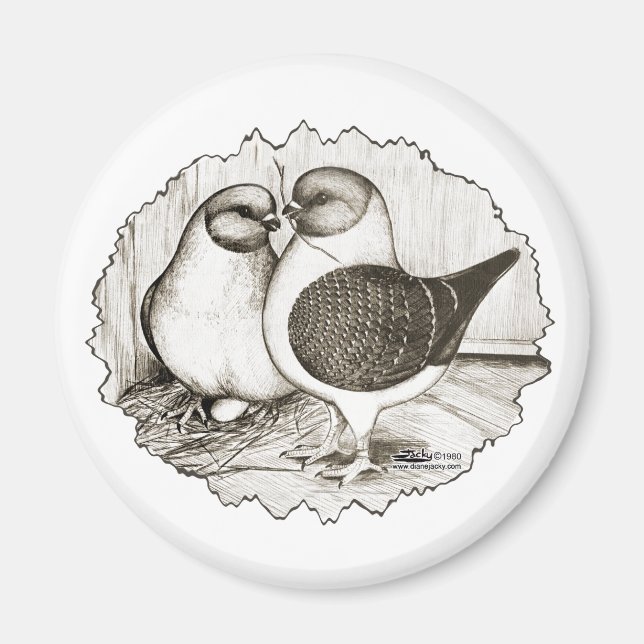 Íman Modena Gazzi Pigeons (Frente)