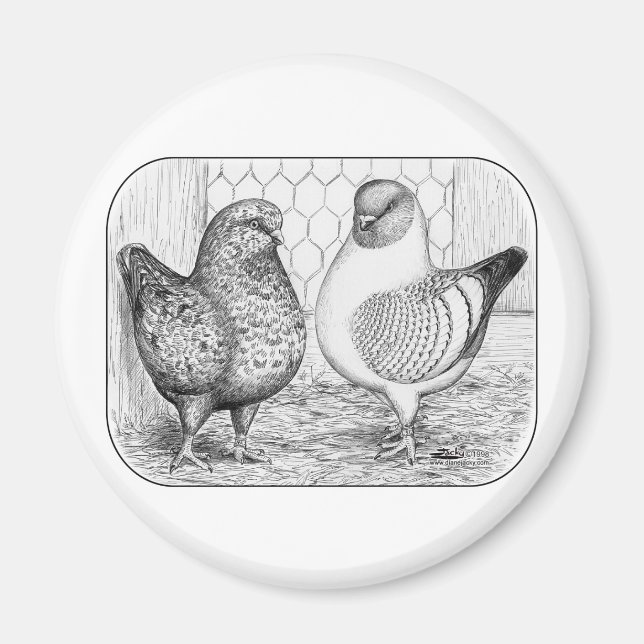 Íman Modenas Dois (Frente)