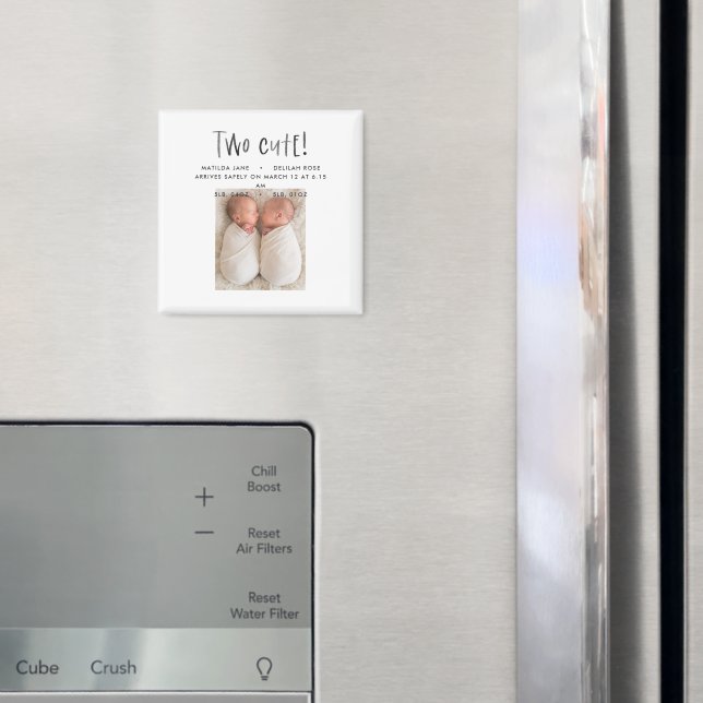 Íman Moderno simples gêmeos foto bronzeado marrom dois  (In Situ (Fridge))