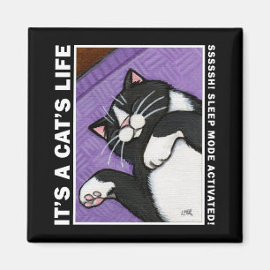 Íman Modo de sono v.02 - é ímã da vida de um gato