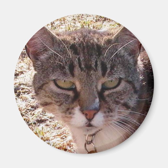 ÍMAN MOGGY (Frente)