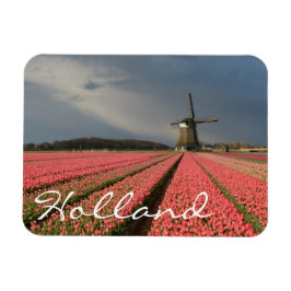 Íman Moinho de vento com tulipas rosa em primavera