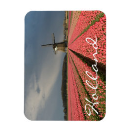 Íman Moinho de vento com tulipas rosa em primavera