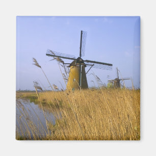 Íman Moinhos de vento ao longo do canal em Kinderdijk,