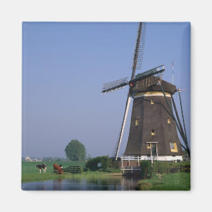 Íman Moinhos de vento, Leidschendam, Holanda