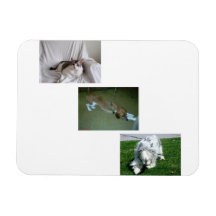 Moira, Riley e a Colagem de Fotos Tyler