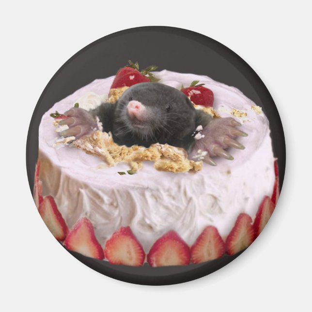 Íman Moles no Bolo de Aniversário (Frente)