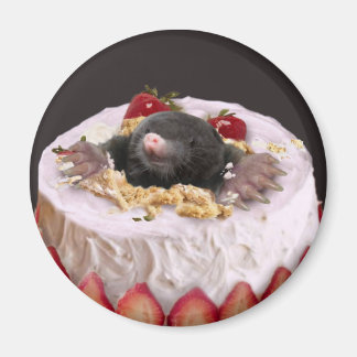 Íman Moles no Bolo de Aniversário