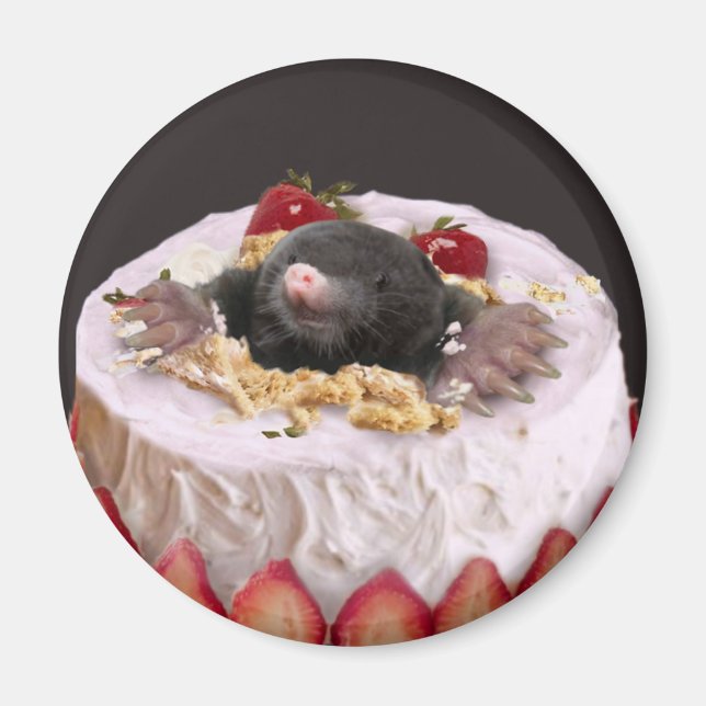 Íman Moles no Bolo de Aniversário (Frente)