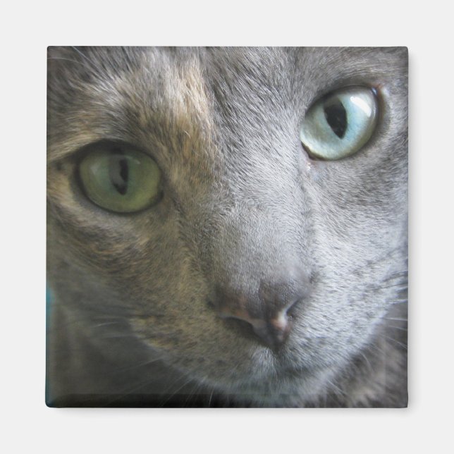 Íman Mollie (Frente)