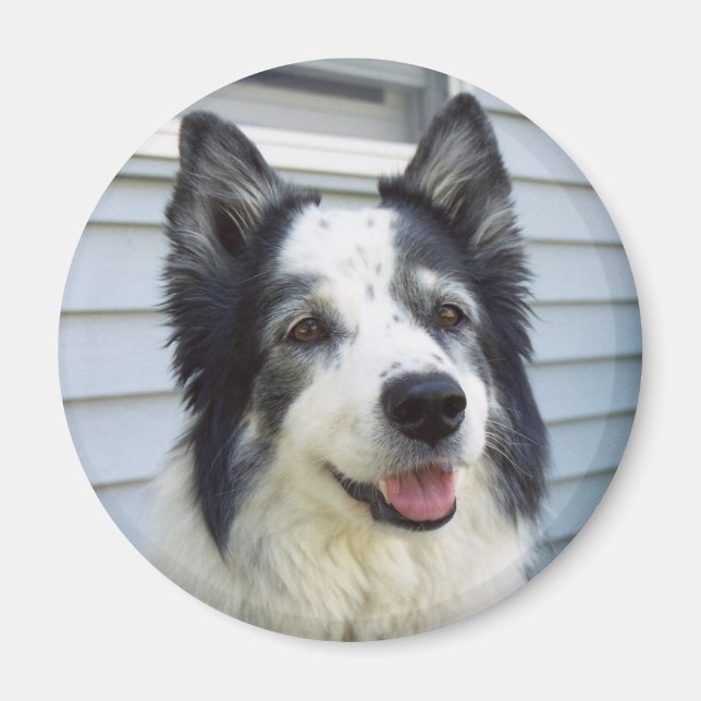 Íman Molly (Frente)