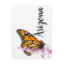 Íman Monarca empoleirada na lavanda, Arizona