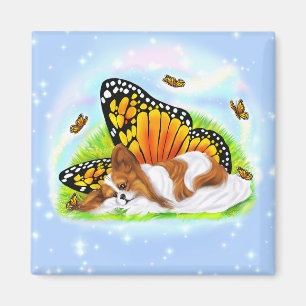 Íman Monarca Mystical de Papillon