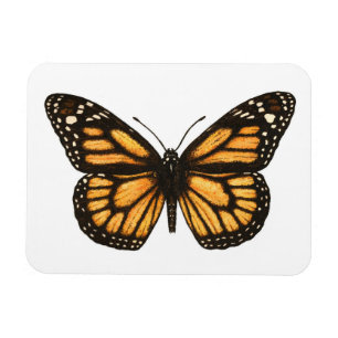 Íman Monarch butterfly
