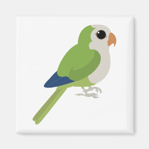 Íman Monk Parakeet