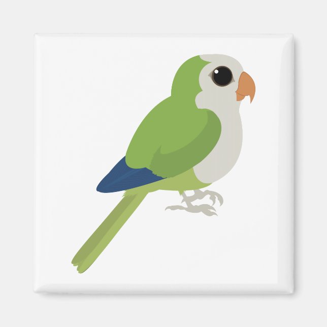 Íman Monk Parakeet (Frente)