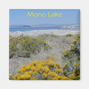 Íman Mono lago, CA