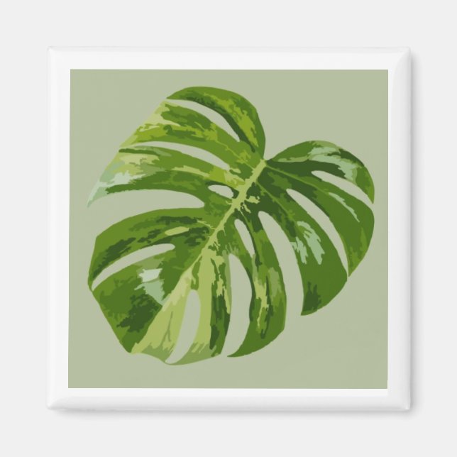 Íman Monstera Albo Hero Leaf Magnet — Rare Variegation  (Frente)