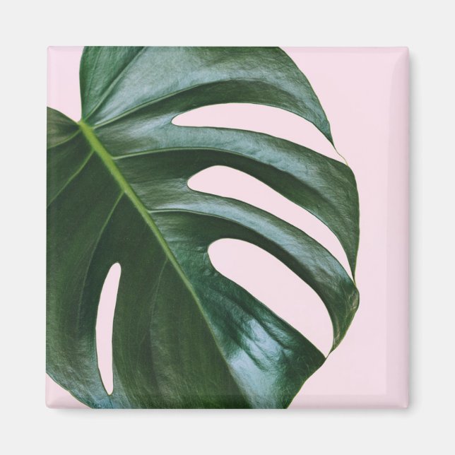 Íman Monstera Tropical Leaf (Frente)