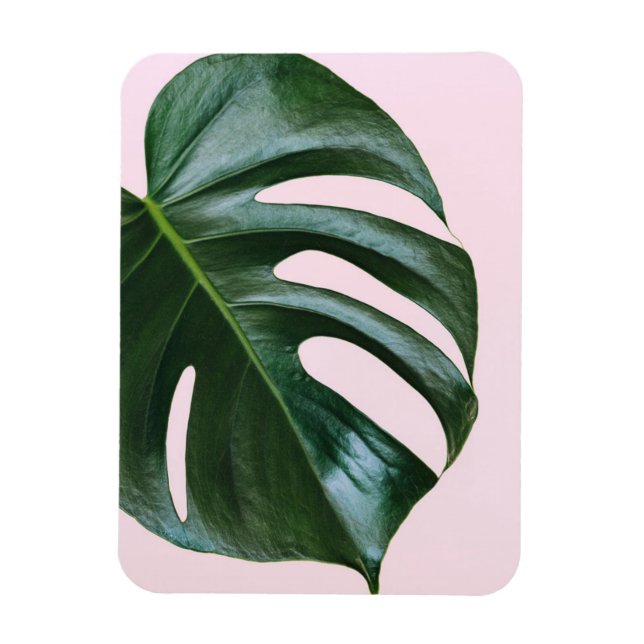 Íman Monstera Tropical Leaf (Vertical)