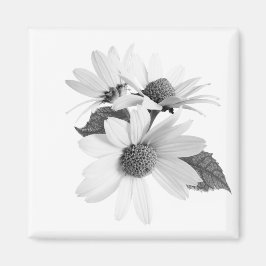 Íman Montagem floral preto e branco de margarida