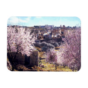 Íman Montagem Vintage De Jerusalém Israel 1950 - 77