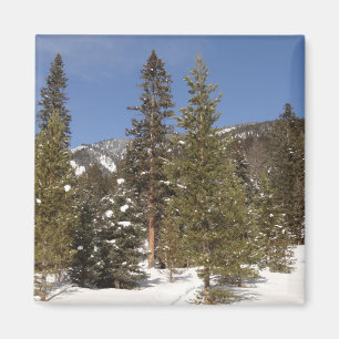 Íman Montana Mountain Trails na foto da paisagem de inv