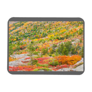 Íman Montanha cadillac em Queda, Parque Nacional Acadia