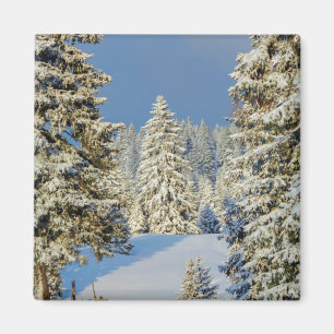 Íman Montanha Jura por pôr do sol de inverno, Suiça