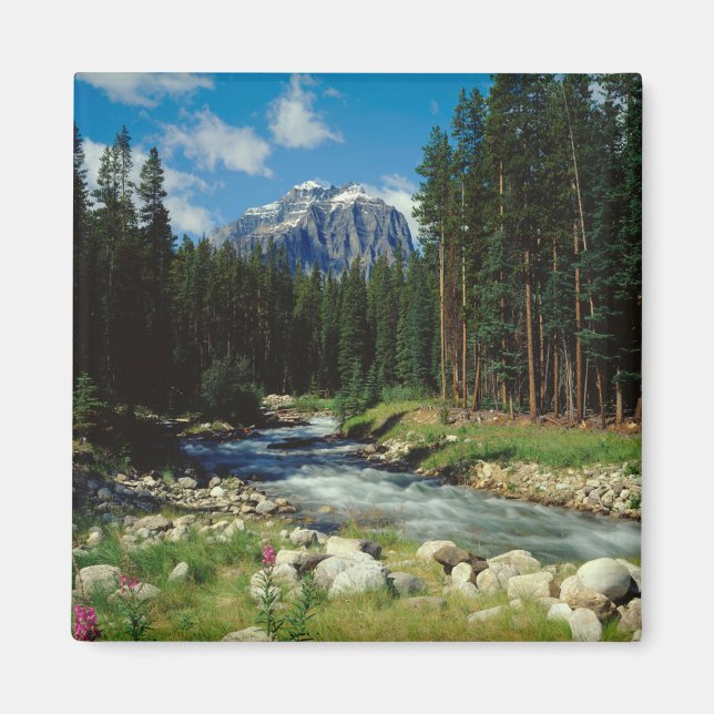 Íman Montanhas | Banff National Park (Frente)