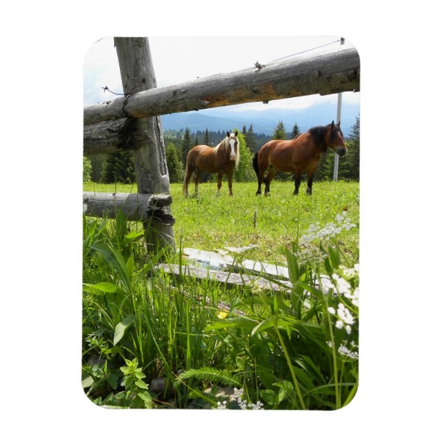 Íman Montanhas Cárpticas - Ucrânia (Vertical)