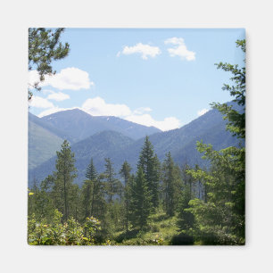Íman Montanhas e Floresta de Montana - Vista Cênnica