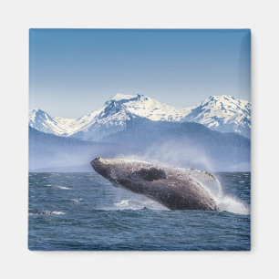 Íman Montanhas Quebra da Baía de Glaciar de Baleia, A