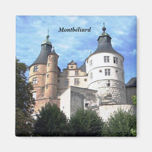 Íman Montb�liard -