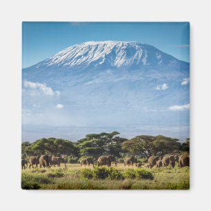Íman Monte Kilimanjaro