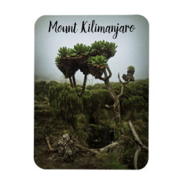Íman Monte Kilimanjaro Magnet