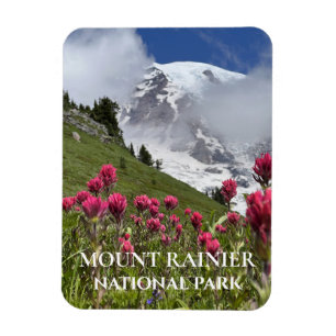 Íman Monte Rainier coberto por neve, pincel indiano