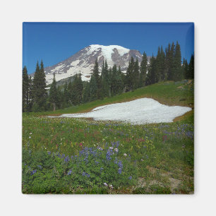 Íman Monte Rainier, Flores Silvestres e Neve