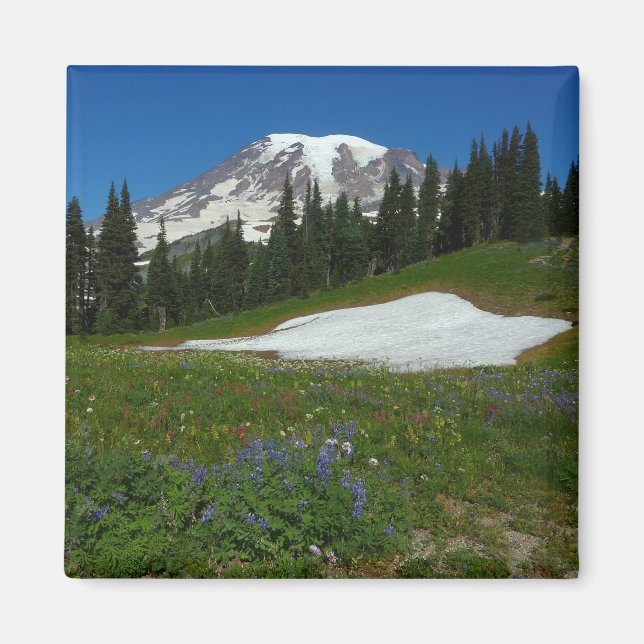 Íman Monte Rainier, Flores Silvestres e Neve (Frente)