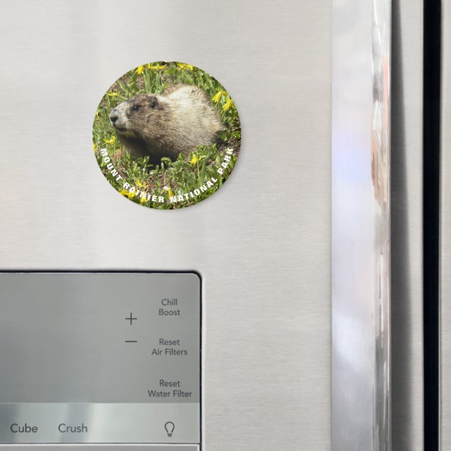 Íman Monte Rainier National Park Marmot Foto (In Situ (Fridge))