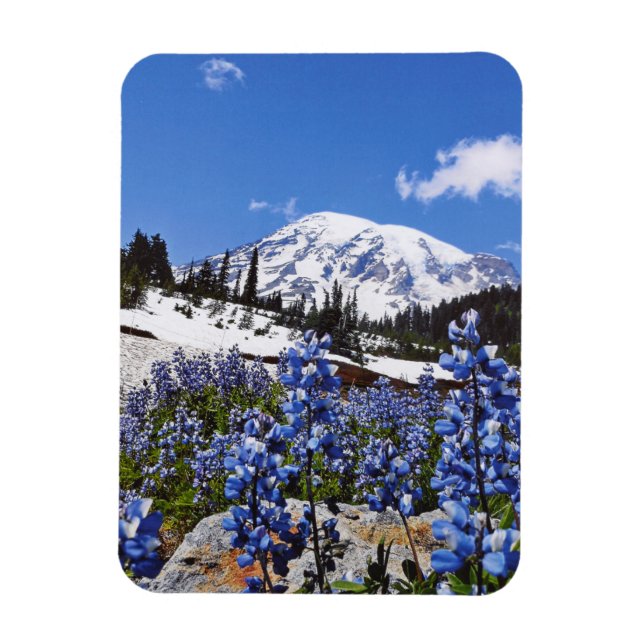 Íman Monte Rainier no Paraíso (Vertical)