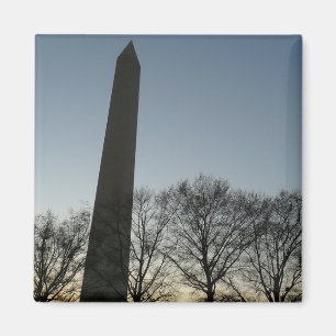 Íman Monumento a Washington no inverno II