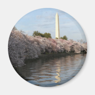 Íman Monumento de Washington da flor de cerejeira
