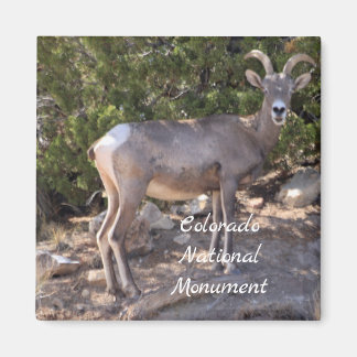 Íman Monumento Nacional do Colorado