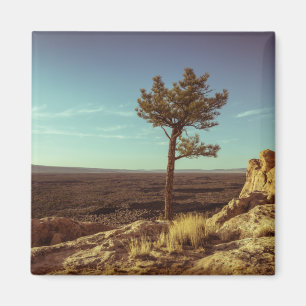 Íman Monumento Nacional El Malpais