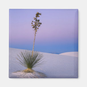 ÍMAN MONUMENTO NACIONAL WHITE SANDS, NOVO MÉXICO.
