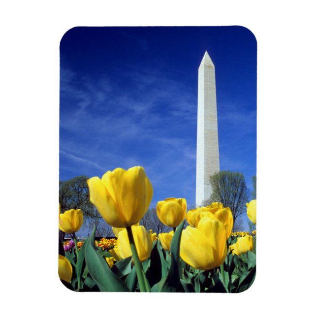 Íman Monumentos | Monumento a Washington em Primavera (Vertical)