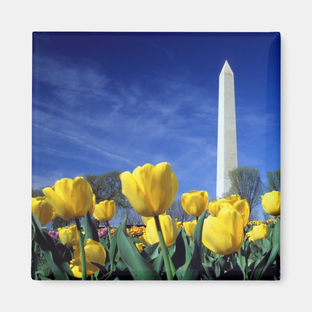 Íman Monumentos | Monumento a Washington em Primavera (Frente)
